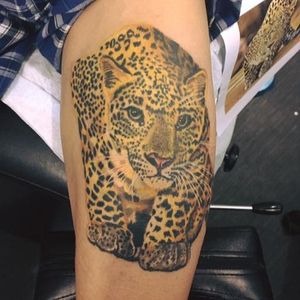 Leopard Collab Tattoo Collab with Ben Fawcett 