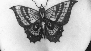 Black & Grey Butterfly on chest 