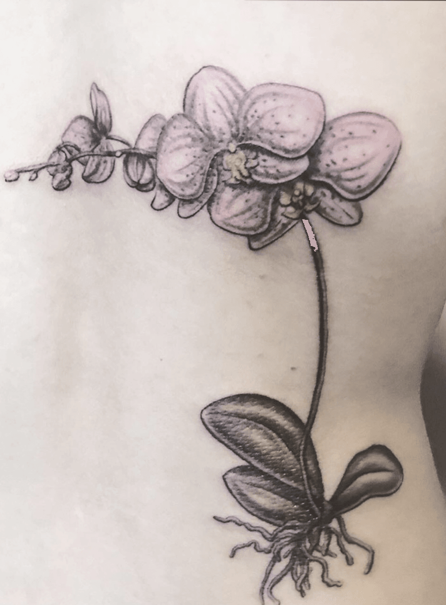 Tattoo uploaded by Liliana June-Lotero • Pink and purple orchids 