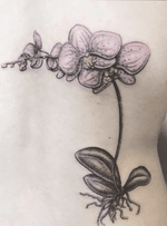 Pink and purple orchids, lower right back. #color #orchid #freshink #botanicaltattoo #tattoosbypolly #backpiece #detail 