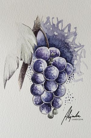 Watercolour Grapes by @Alejandralaszczyk 