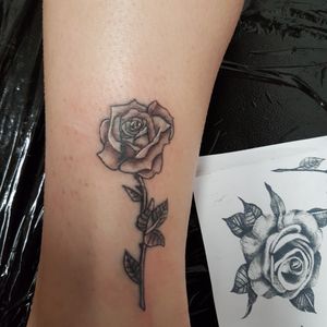 Rose noir et blanc 