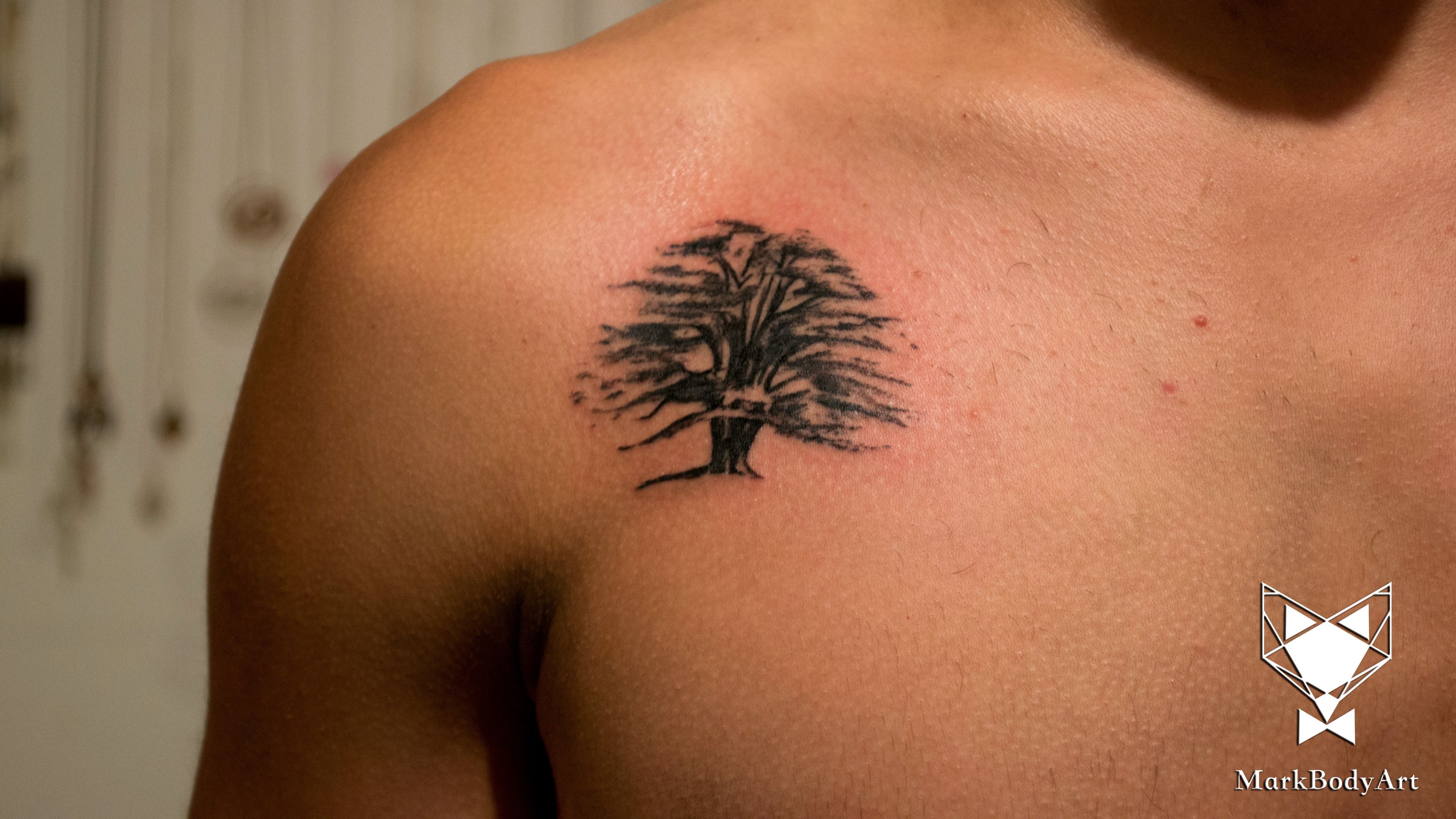 Cedar tattoo design by MELee on DeviantArt
