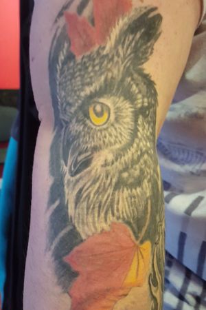 Autumnal owl#tattoo #tattoos #tattooartist #tattooist #blackandgray #blackandgrey #owl #owltatto #leaves #birdtattoo #tattoooftheday 