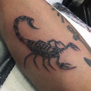 Tattoo by Mina Aoki #MinaAoki #scorpiontattoos #scorpion #animal #nature #blackandgrey #illustrative