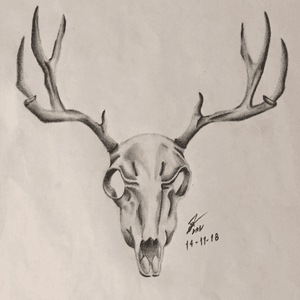 Deer Skull Design