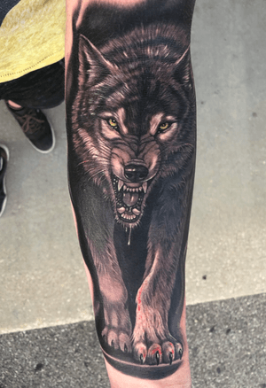 #wolf #blackandgrey #realism #ink 
