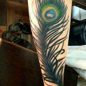 Pavão #pavao #pavaotattoo pavão tattoo
