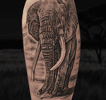#kwadroncartridges #inkjecta #silverbackink #ink #inkstagram #hannover #braunschweig #blackandgreyrealism #portraittattoo #realism #realistic #elephant #elephanttattoo 