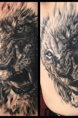 Fresh and healed lion portrait on ribs done by me