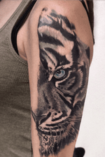 Tatuaje de tigre realismo. #realism #realistictattoo #tiger #tigertattoo #denia #blackandgray #besttattoos 