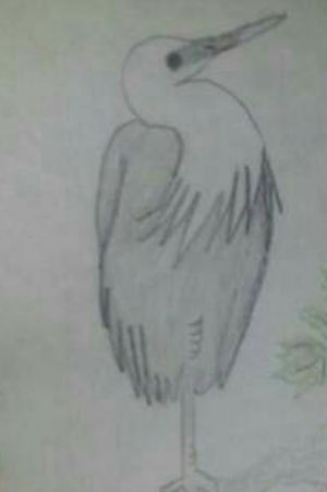 Just a little doodle of a bird I seen.  Clearly I'm not the realism type.