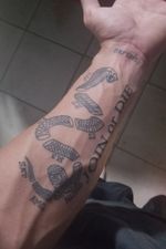 Join or die tattoo. But snake is the Shelby Cobra and instead of states, they are different racing divisions. 