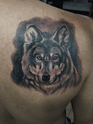 #wolf #acapulco #tattoo 