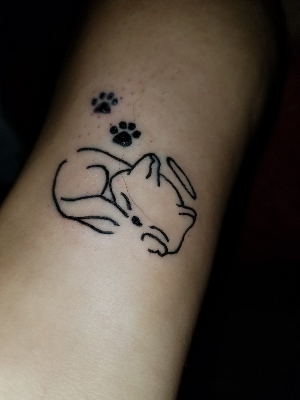 Tattoo Uploaded By Goose Grosswiler Cat Memorial Tattoo 758869 Tattoodo