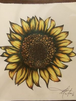 A sunflower for a chick who wants it on her