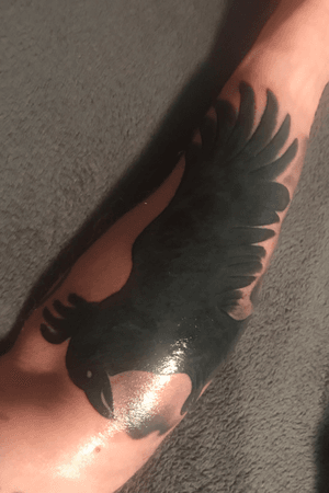 Raven coverup of horrible first tattoo of a drown cat. I mean tiger.  #greek #greekmythology #greekgod #norsemythology #Odin 