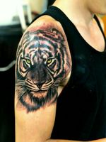 #tigretattoo #tattooart #tattolife tigre