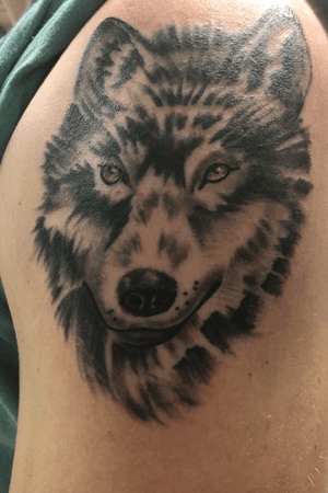 Wolf head tattoo came out good 