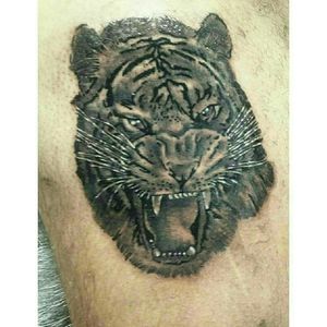 #tigertattoo #tiger #tigerhead #tigretattoo #tigre #blackandgrey #blackandgreytattoo tattoo tigre preto e cinza