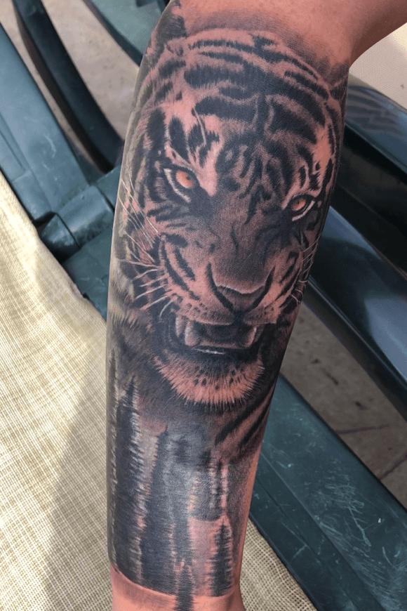Grimm Tiger made by Corey Woods at Forecastle Tattoo in Bangor Me   rtraditionaltattoos