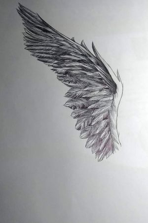 My wing...Draw by alanabanana