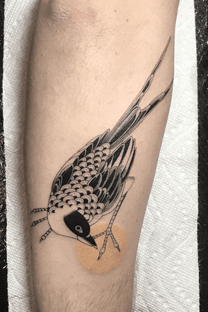 Tattoo uploaded by [just] Vince • Fun little #bird from my book. Love doing  these! #fineline #bird #blackwork • Tattoodo
