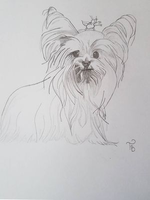 #dog #sketch #sketchstyle #drawings #dogdrawing