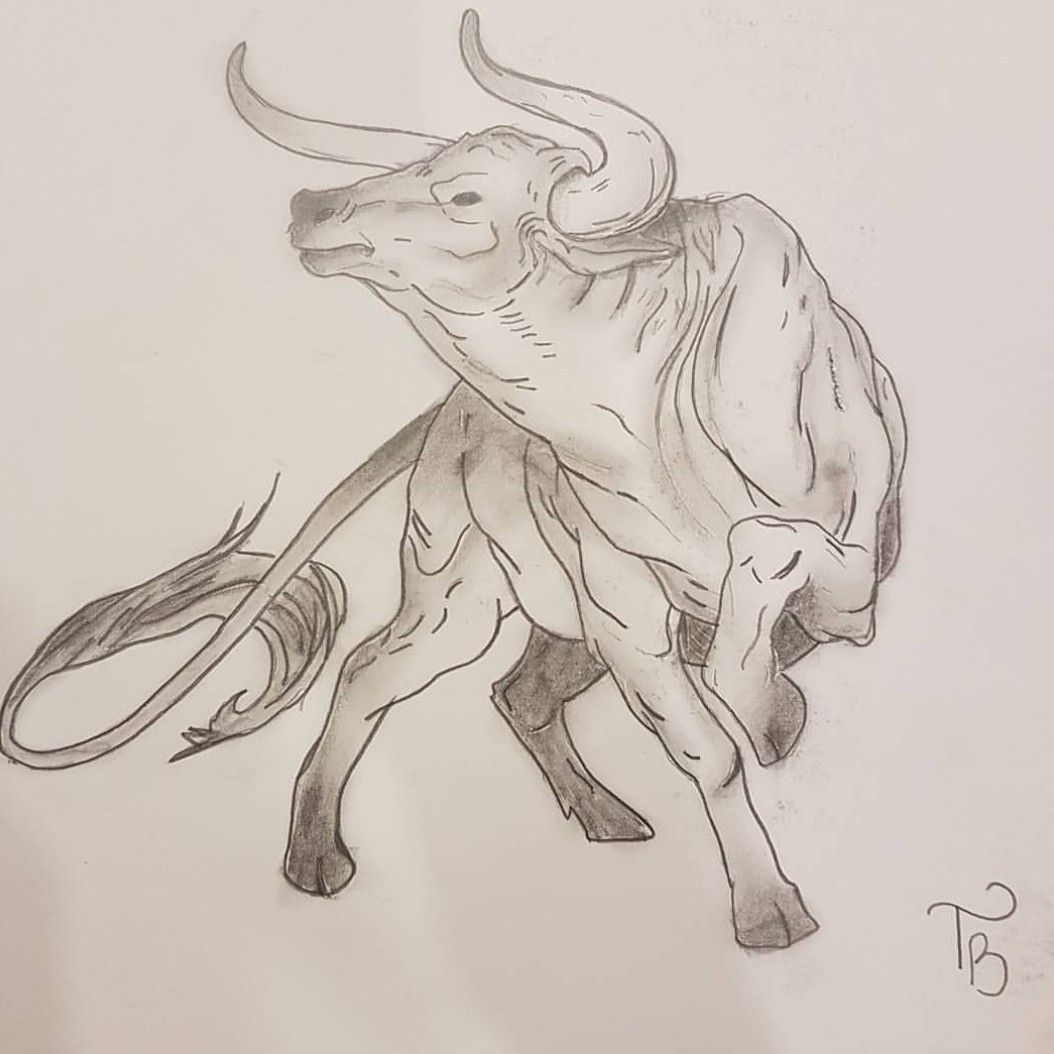  Bull Sketch Drawing for Girl