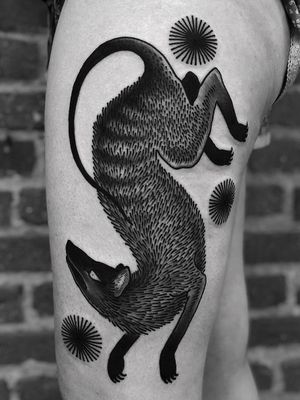 Tattoo by Laura Yahna #LauraYahna #blackwork #darkart #illustrative #TasmanianTiger #animal #nature #star
