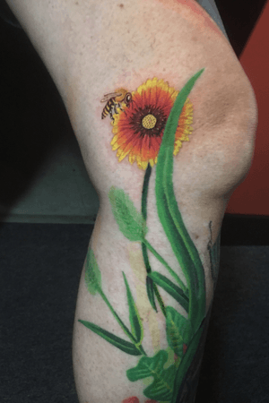Nature scene with foliage, daisy, and a bee. The daisy and bee are fresh, everything else is healed. 