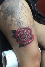Realistic rose cover up. 
