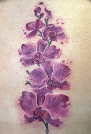 Watercolor orchids