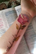 Gorgeous realistic watercolor rose 