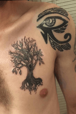 #tree #treeoflife #beginner #TattoosByDan