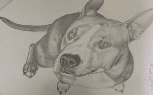 Realism dog drawing #mydesign #client #realism #HB #onlygray