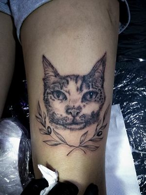 #Cat #finelinetattoo #Black #tattoo #argentinatattoo #lujan #buenosaires 