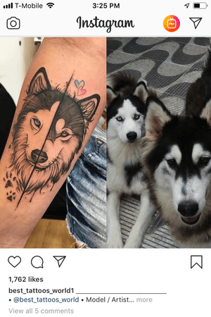 Not my own huskies but i also have 2 that look very similar to these 