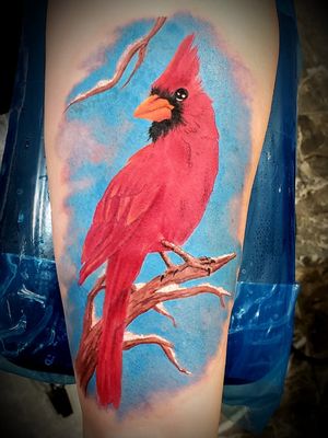 Cardinal tattoo