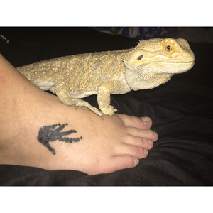 This was my third tattoo! (I got three done in one sitting as a birthday present to myself.) This little lizard, is my sweet Pascal. He saved me from myself so many times, and gave me motivation to go on. So what I decided to do, I painted his foot, stamped his foot on my hand, took a picture, downloaded it to my computer, made it life-size, and told the artist to put it on my foot. My sweet Pascal unfortunately passed away couple years later, I am grateful to have this forever memory of him.