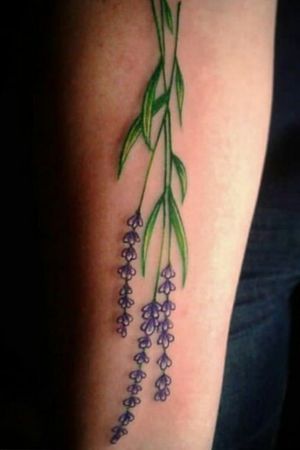 No black outline lavender flower. On forearm 😄
