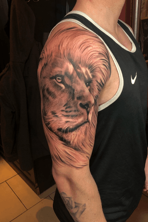 Lion Tattoo                                                                                 #lion #blackandgrey #realism 