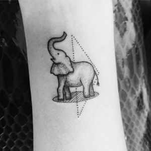 Small elephant 
