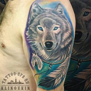Wolf and dream catcher