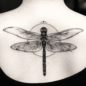 Sometimes tattoos can look simple but who cares, the importance is what it means for you. #dragonfly #dragonflytattoo #tattoolove #girlswithtattoos #meaning #sleevetattoo #feather #feathers #nature #artnouveau #tattoooftheday #blackandgrey #blackandgreyt