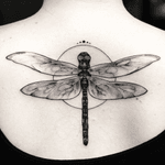 Sometimes tattoos can look simple but who cares, the importance is what it means for you. #dragonfly #dragonflytattoo #tattoolove #girlswithtattoos #meaning #sleevetattoo #feather #feathers #nature #artnouveau #tattoooftheday #blackandgrey #blackandgreytattoo #blackandgreytattoos #blackartist #blackart#blackworktattoo #BlackworkTattoos #blackworkers #BlackworkArtist #blackworker #blackworkartists #blackworkerssubmission #blackwork #black #austin#texas#dallas#houston#sanantonio#freehand #feminine #tattoo #tattooart #yoricktattoo