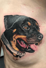 Dog by sasa black #tattoo #realism 