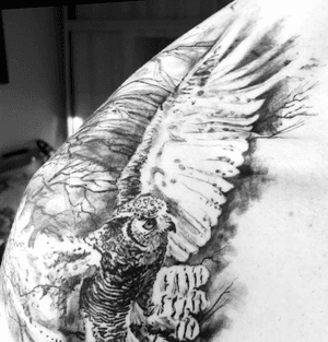 #owltattoo#blackandgrey#intuition#protection#mistery#independence#wisdom#vision#freedom#transition#knowledge#experience#supernatural