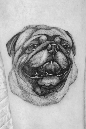 Customize dog portrait