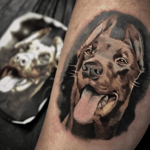 Dog by sasa black #tattoo #realism 